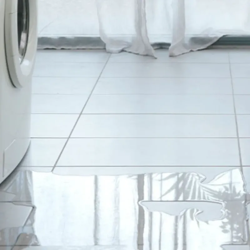 Appliance Leak Cleanup in Staples, MN