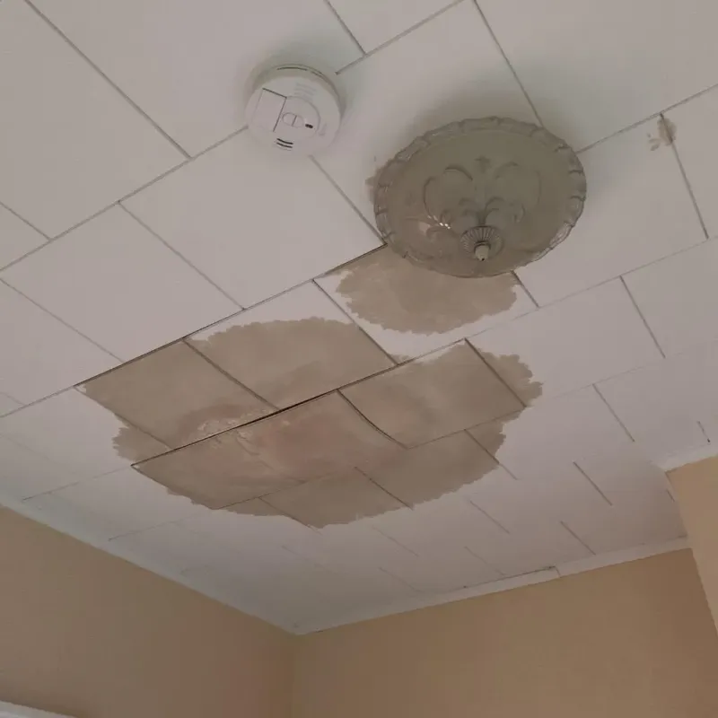 Ceiling Water Damage Repair in Staples, MN